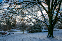 Snow, Eden Park, Banks, Shawnee Run, Creeks 11-18-2014