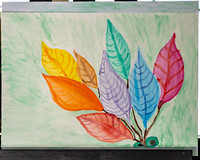 GeriGeasland_JimGormley_013026--14