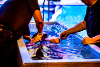 Easter_JimGormley_040426-4416