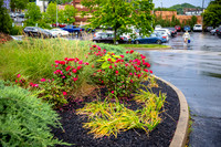 GoCincy_JimGormley_051626-5166