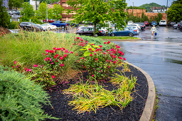 GoCincy_JimGormley_051626-5166