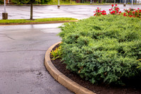 GoCincy_JimGormley_051626-5365