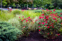 GoCincy_JimGormley_051626-5364
