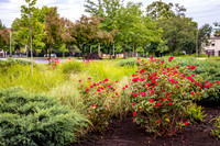 GoCincy_JimGormley_051626-5366