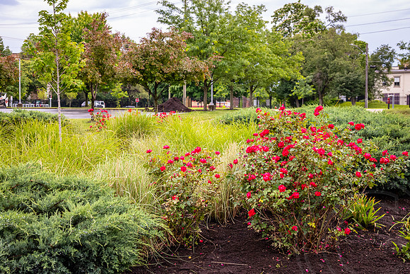 GoCincy_JimGormley_051626-5366