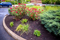 GoCincy_JimGormley_051626-5393