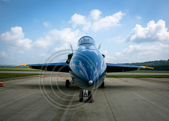 Blue Angel