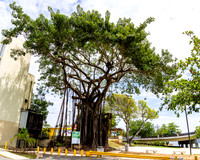 GoPR_Day2Sun_JimGormley_.04-23-2023--18
