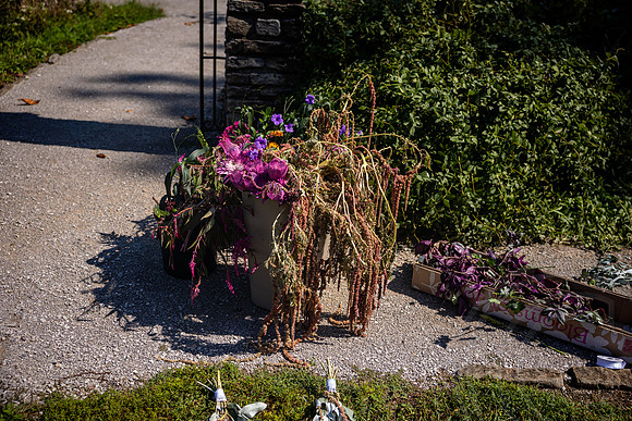 Dacey Wedding_JimGormley-092026-9150