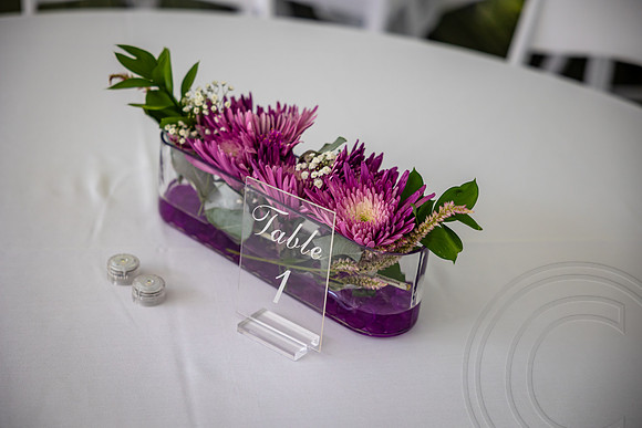 Dacey Wedding_JimGormley-092026-9158