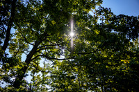 Dacey Wedding_JimGormley-092026-9431