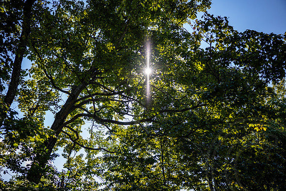 Dacey Wedding_JimGormley-092026-9431