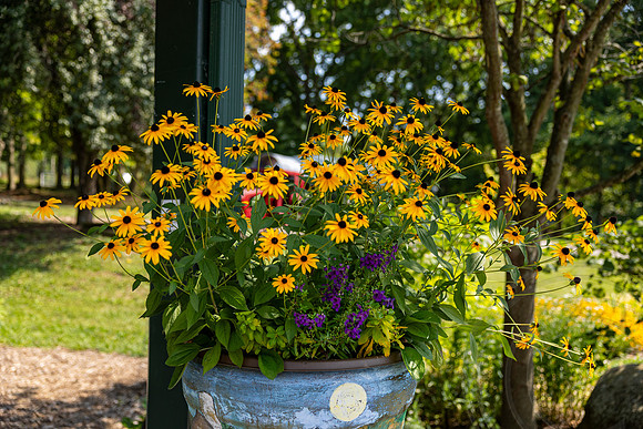 ShelbyMatthewWedding_JimGormley_081724-8032