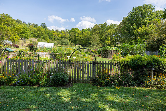 ShelbyMatthewWedding_JimGormley_081724-8016