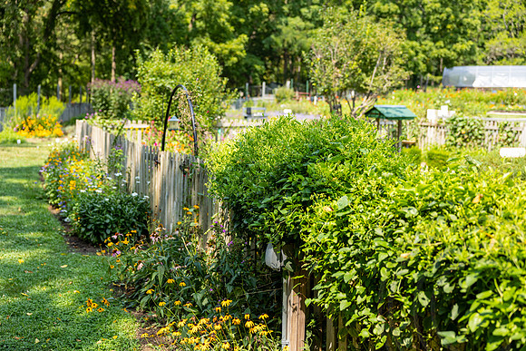 ShelbyMatthewWedding_JimGormley_081724-8021