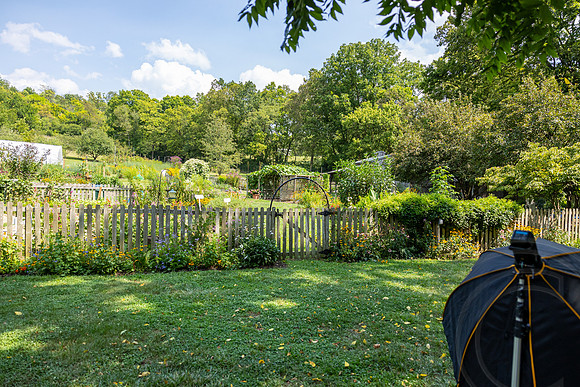 ShelbyMatthewWedding_JimGormley_081724-8015