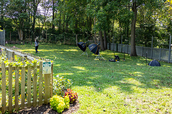 ShelbyMatthewWedding_JimGormley_081724-8022