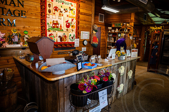 ShelbyMatthewWedding_JimGormley_081724-7994