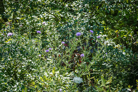 Promises Open_JimGormley_2009-0300004334186919905356044938341